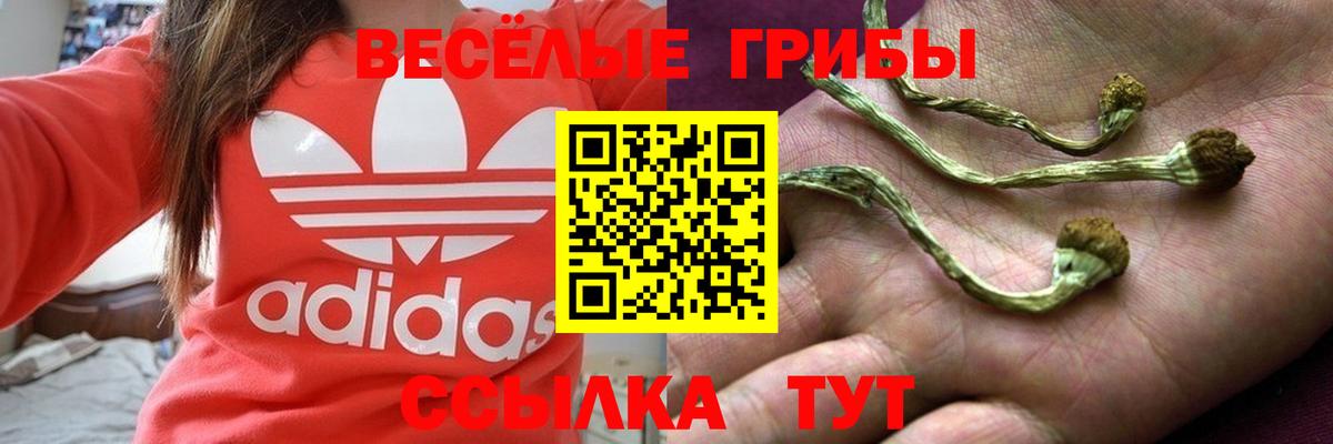 Псилоцибиновые грибы Psilocybe  Галлюциногенные грибы Magic Shrooms  Вход с VPN  Россошь 